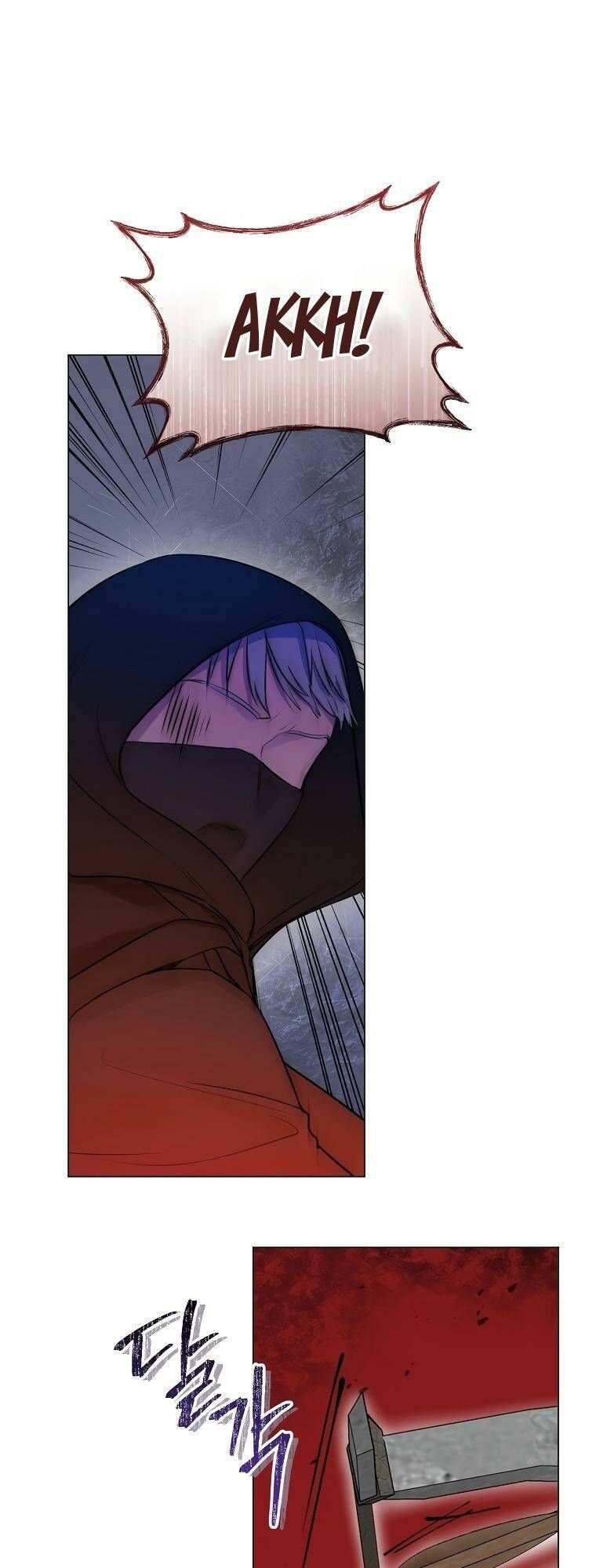 Cuộc Hôn Nhân Xa Hoa Của Đại Công Tước Là Giả Chapter 24.1 - Trang 2