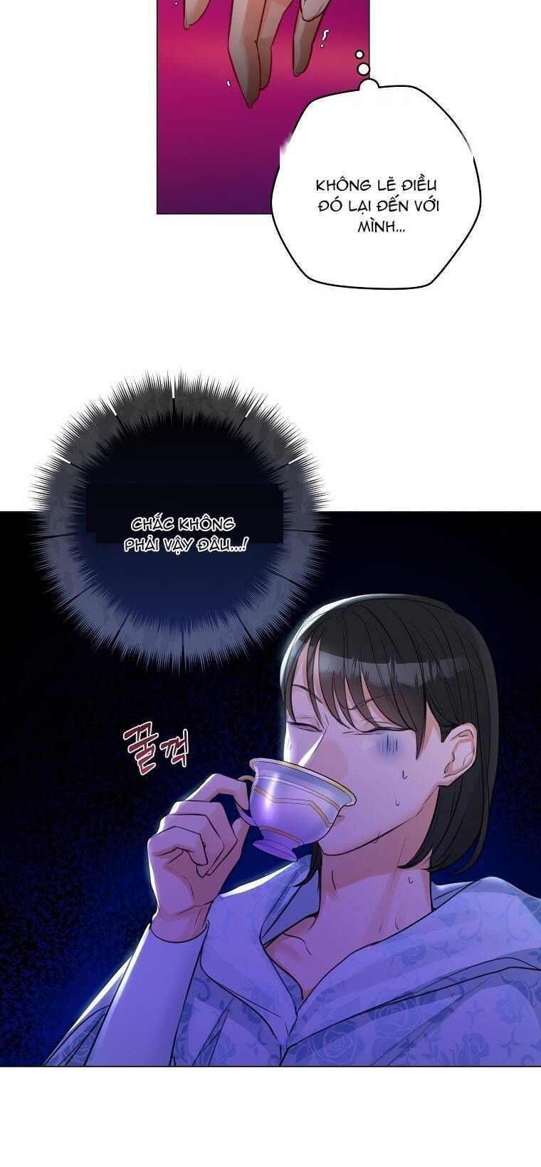 Cuộc Hôn Nhân Xa Hoa Của Đại Công Tước Là Giả Chapter 27.3 - Trang 2