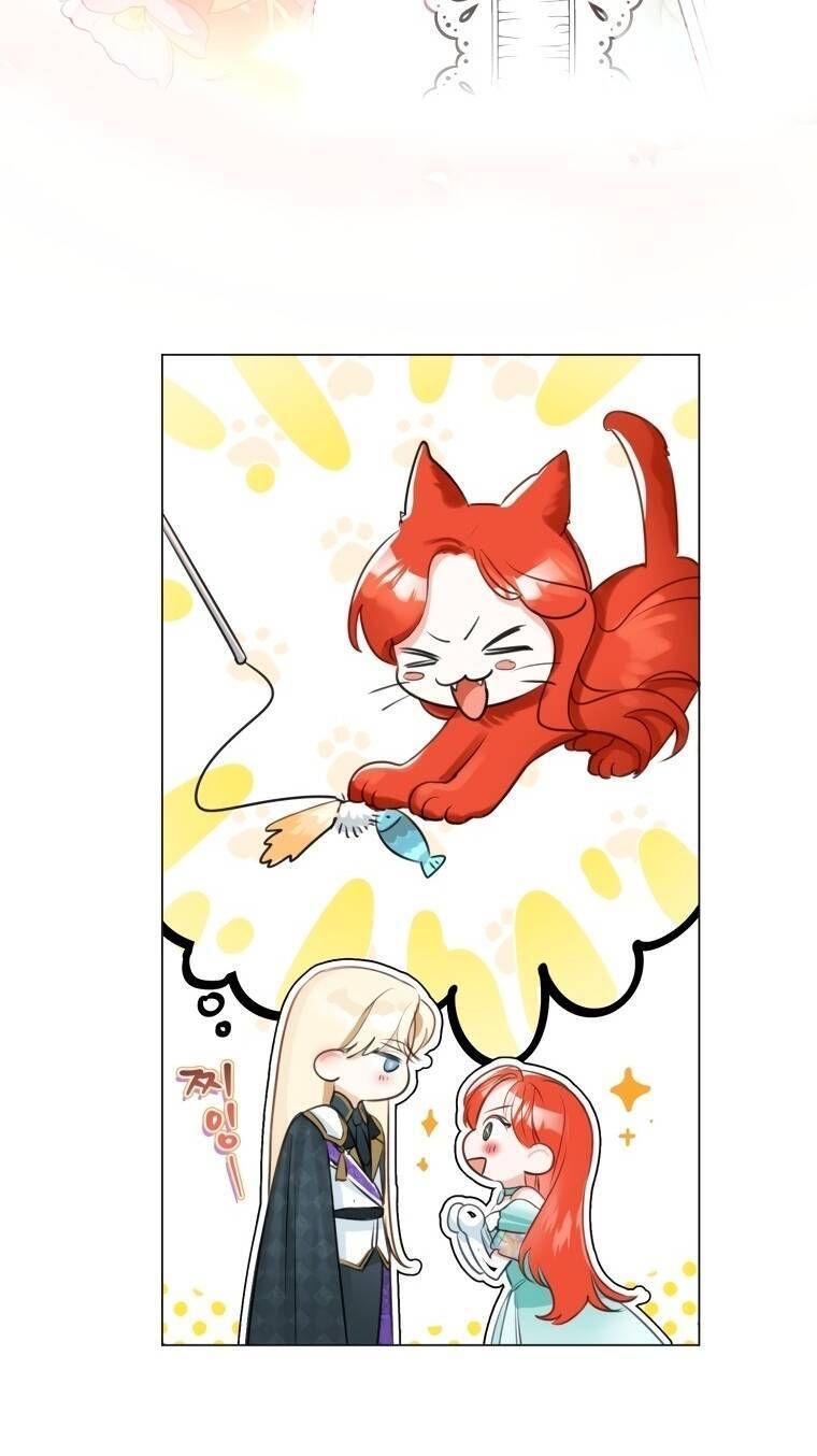 Cuộc Hôn Nhân Xa Hoa Của Đại Công Tước Là Giả Chapter 28.2 - Trang 2