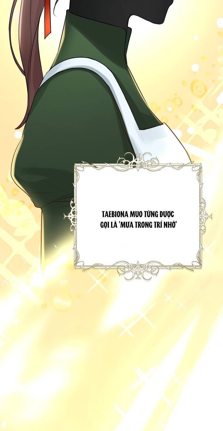 Cuộc Hôn Nhân Xa Hoa Của Đại Công Tước Là Giả Chapter 31.6 - Trang 2