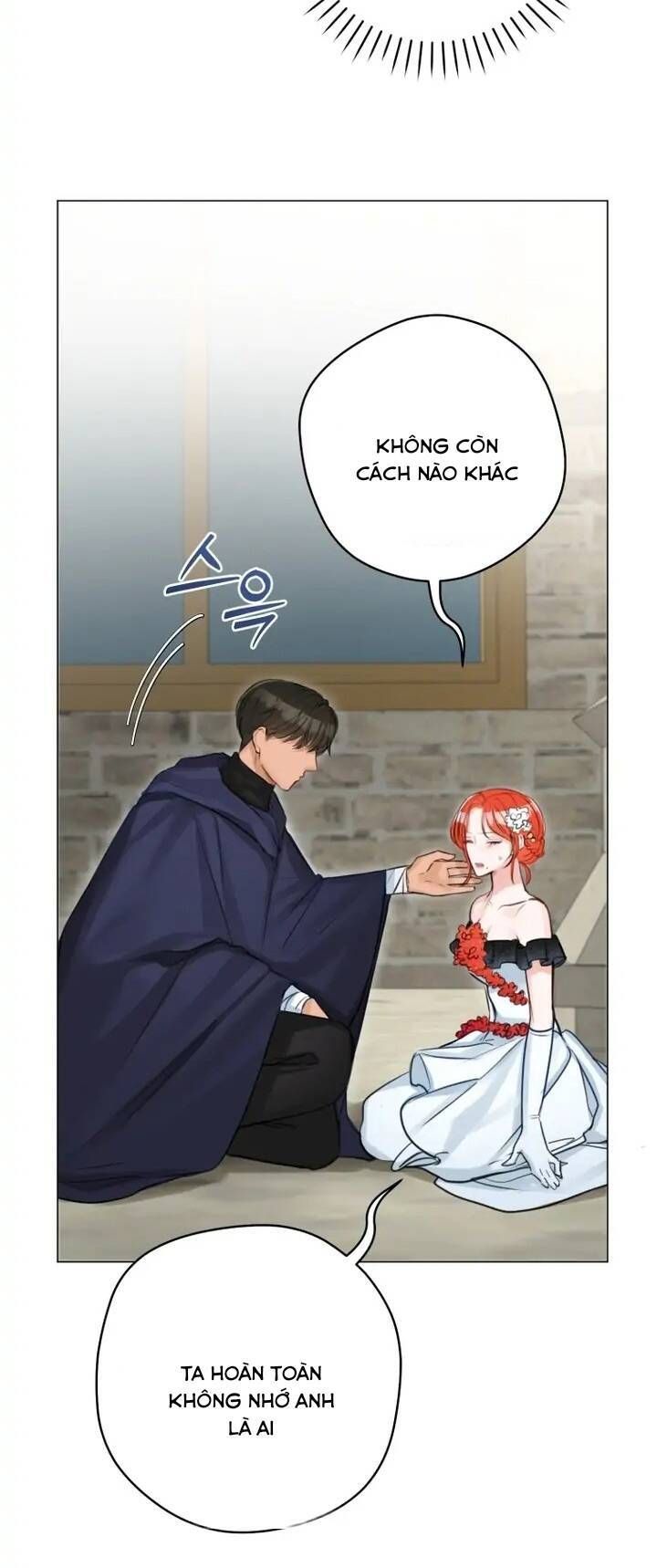 Cuộc Hôn Nhân Xa Hoa Của Đại Công Tước Là Giả Chapter 33.1 - Trang 2