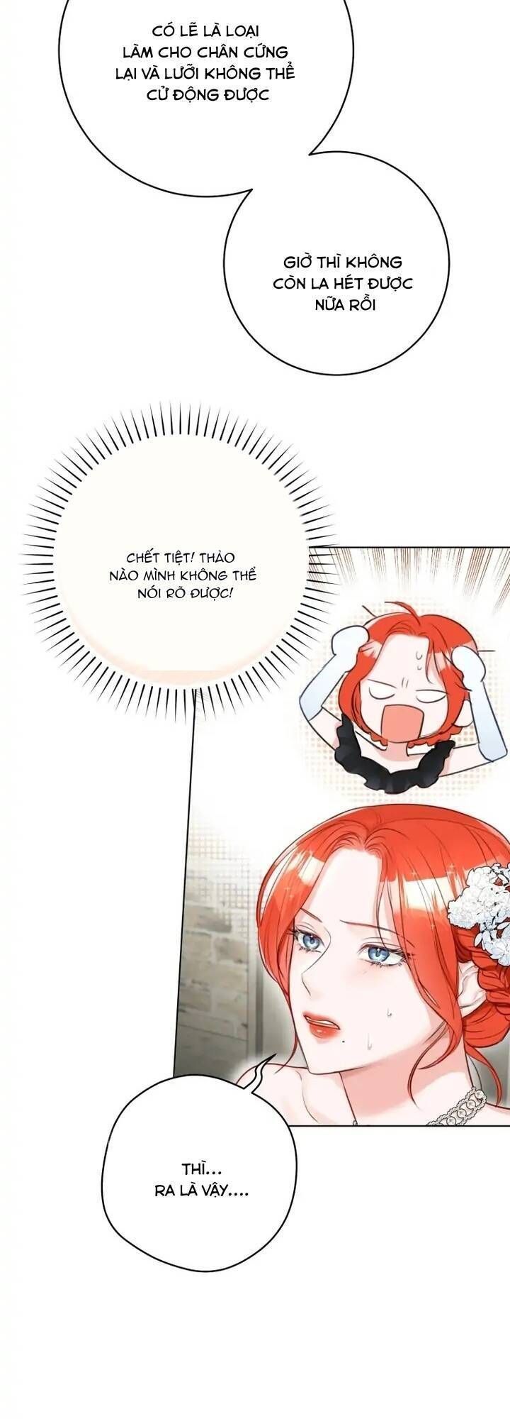 Cuộc Hôn Nhân Xa Hoa Của Đại Công Tước Là Giả Chapter 33.4 - Trang 2