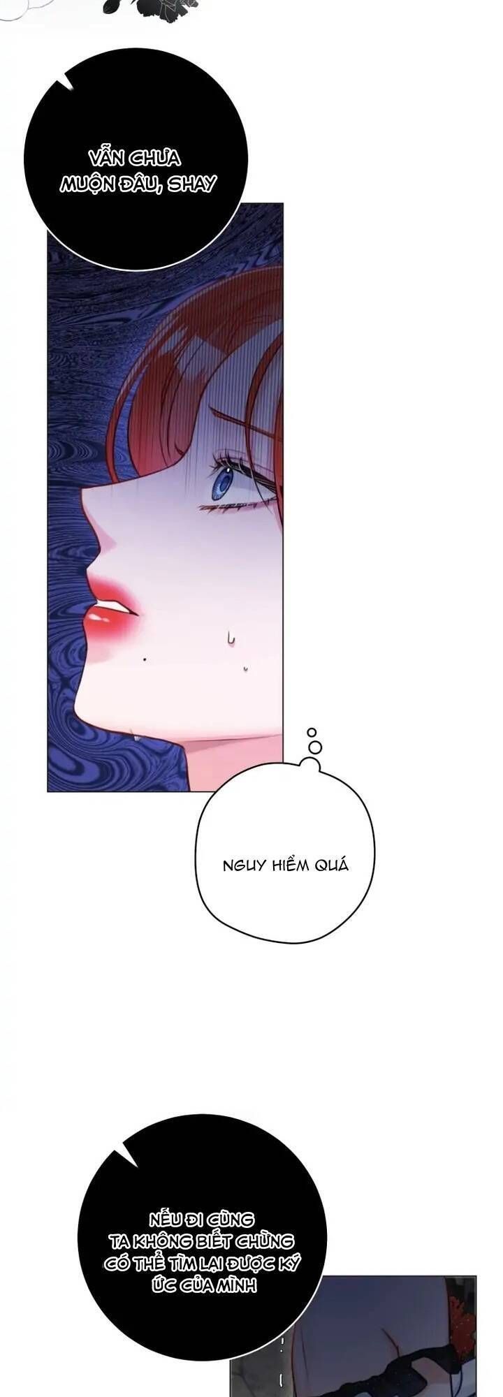 Cuộc Hôn Nhân Xa Hoa Của Đại Công Tước Là Giả Chapter 33.6 - Trang 2