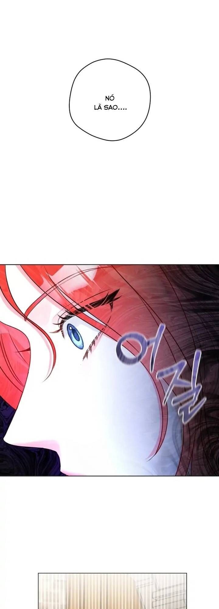 Cuộc Hôn Nhân Xa Hoa Của Đại Công Tước Là Giả Chapter 33.8 - Trang 2