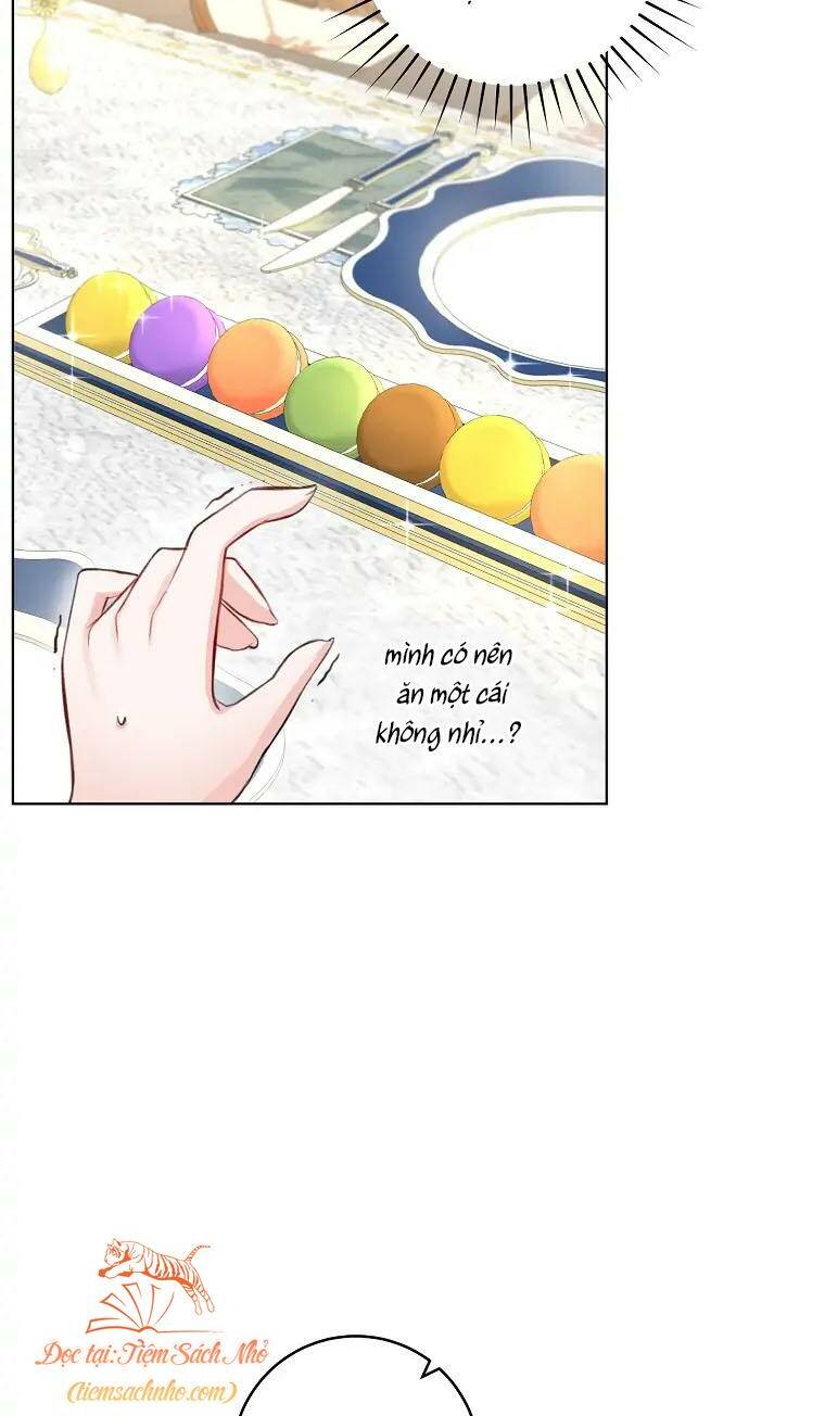 Cuộc Hôn Nhân Xa Hoa Của Đại Công Tước Là Giả Chapter 4 - Trang 2