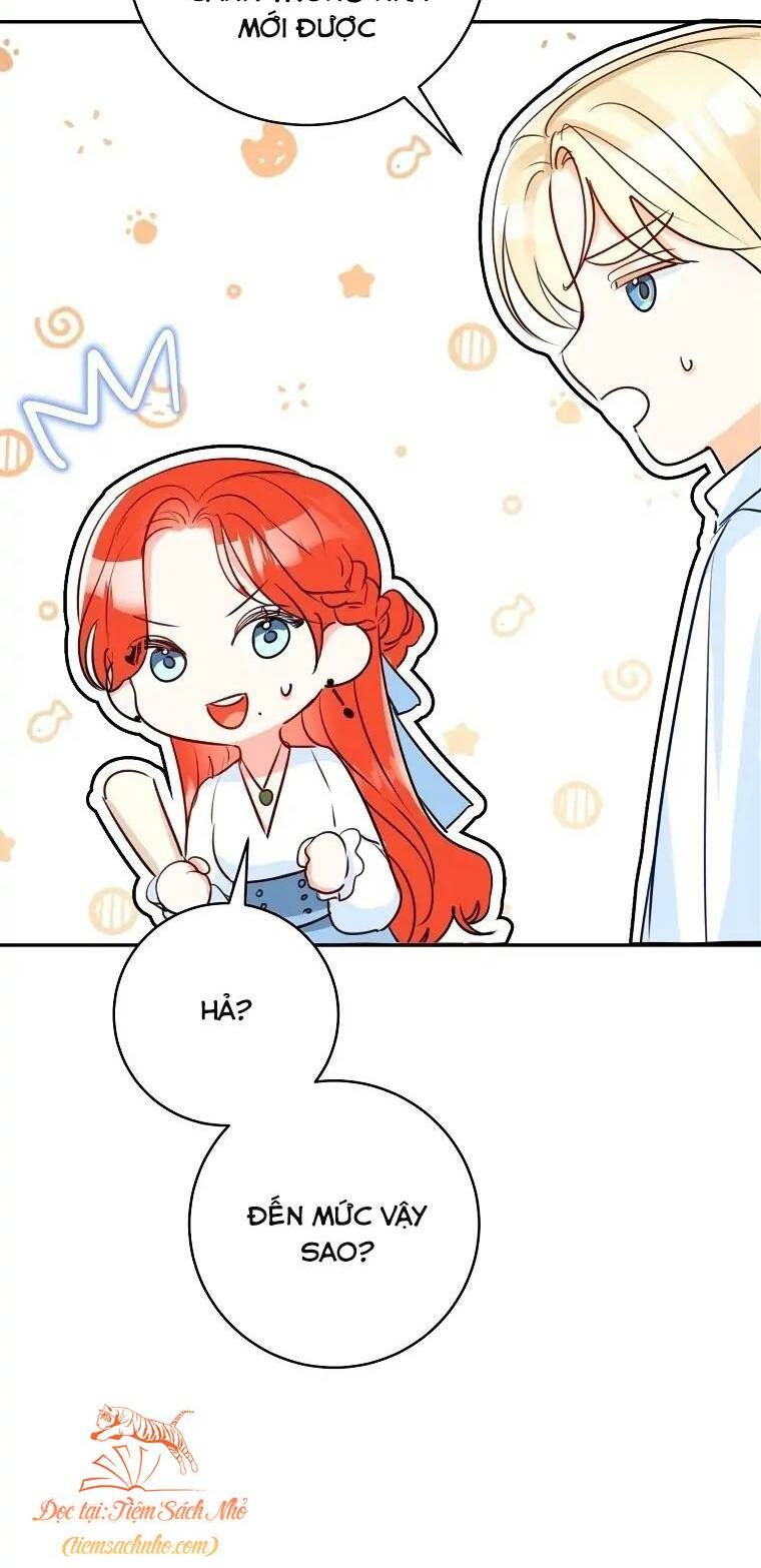 Cuộc Hôn Nhân Xa Hoa Của Đại Công Tước Là Giả Chapter 41 - Trang 2