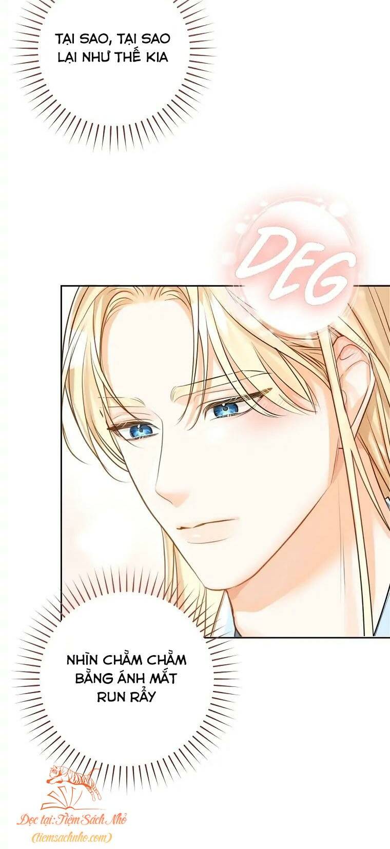 Cuộc Hôn Nhân Xa Hoa Của Đại Công Tước Là Giả Chapter 41 - Trang 2