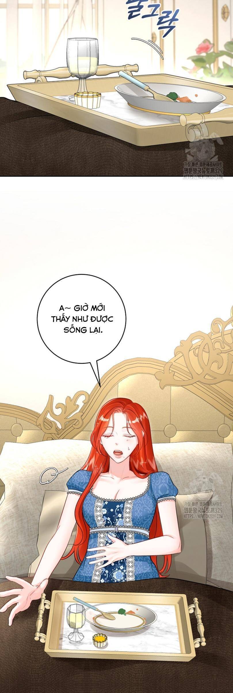 Cuộc Hôn Nhân Xa Hoa Của Đại Công Tước Là Giả Chapter 46 - Trang 2