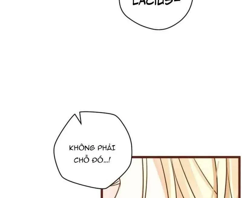Cuộc Hôn Nhân Xa Hoa Của Đại Công Tước Là Giả Chapter 86 - Trang 2