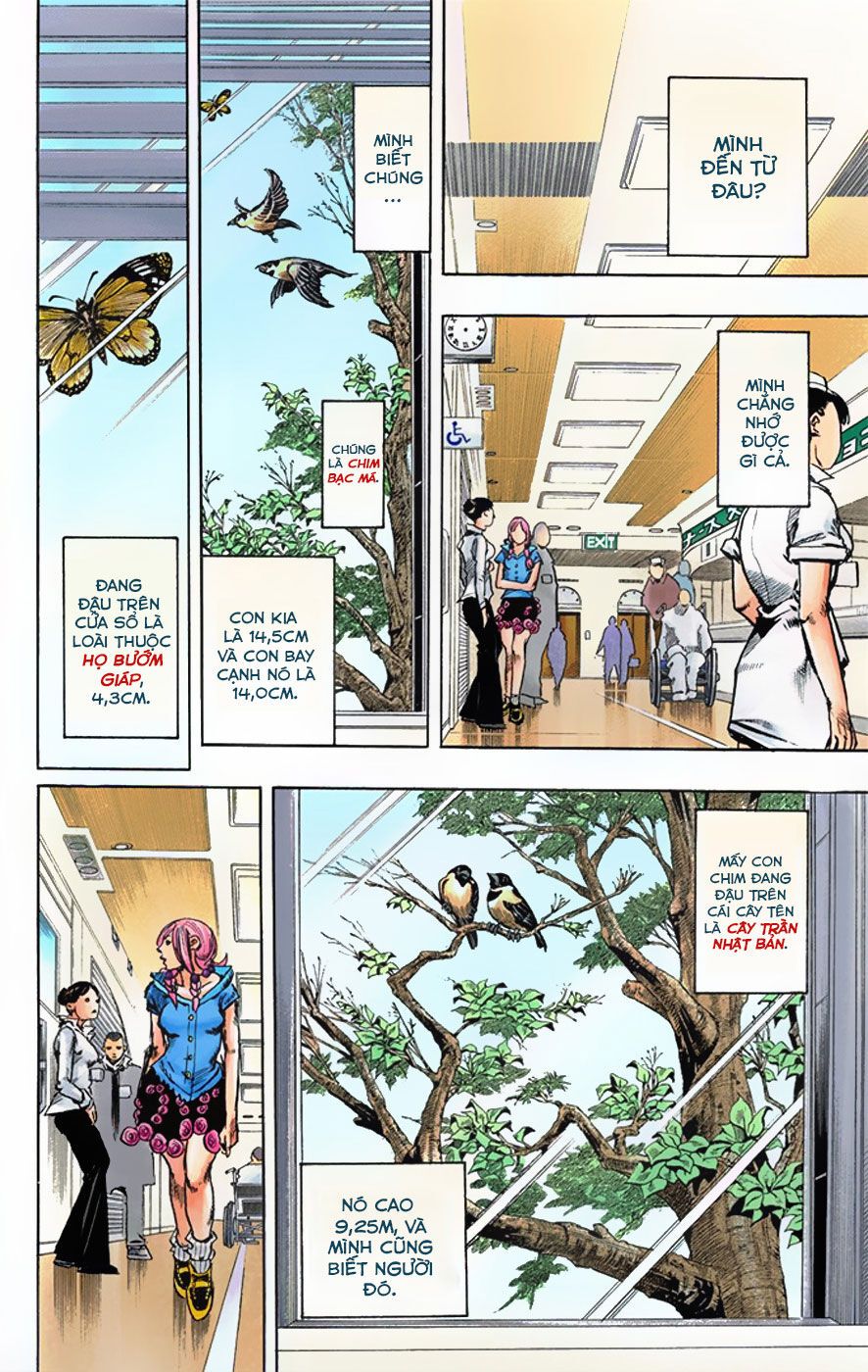 Cuộc Phiêu Lưu Kì Bí Của Jojo Phần 8: Jojolion Chapter 2 - Trang 2