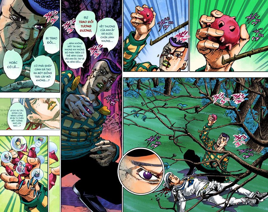 Cuộc Phiêu Lưu Kì Bí Của Jojo Phần 8: Jojolion Chapter 53 - Trang 2