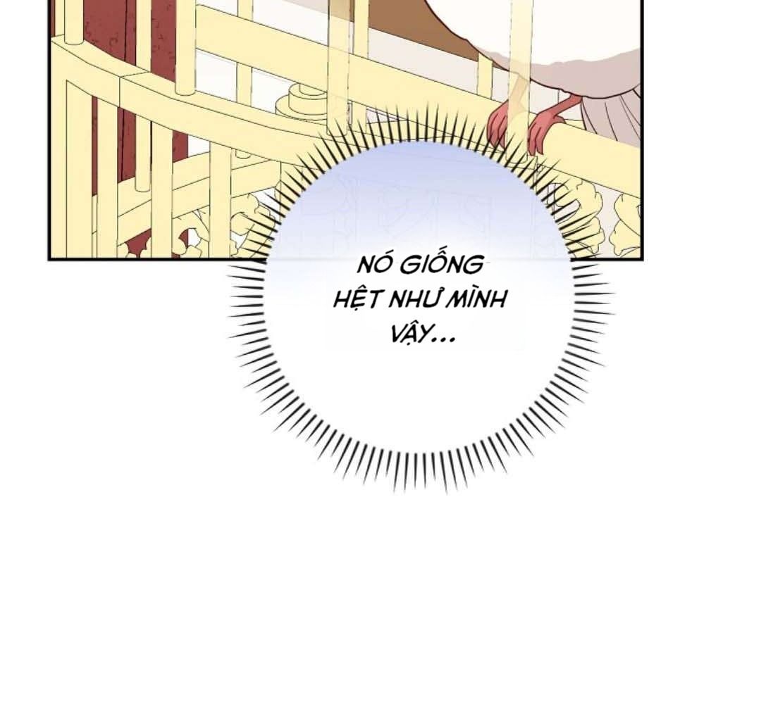 Cuộc Sống Của Nữ Vương Ác Quỷ Chapter 4 - Trang 2