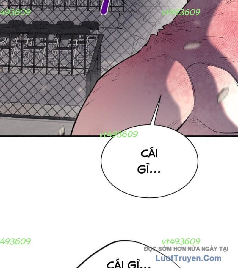 CuộC Sống Học Đường Của Đội Trưởng Quận Chapter 38 - Trang 2