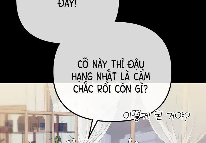 Cuộc Sống Làm Lại Của Kẻ Nghiện Game Chapter 39 - Trang 2
