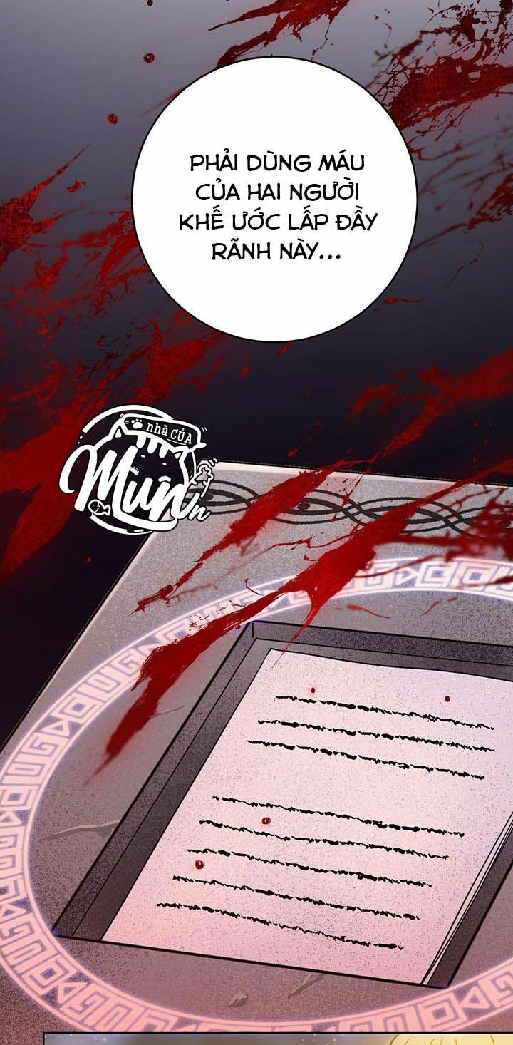 Cuộc Sống Mới Của Công Nương Chapter 10 - Trang 2