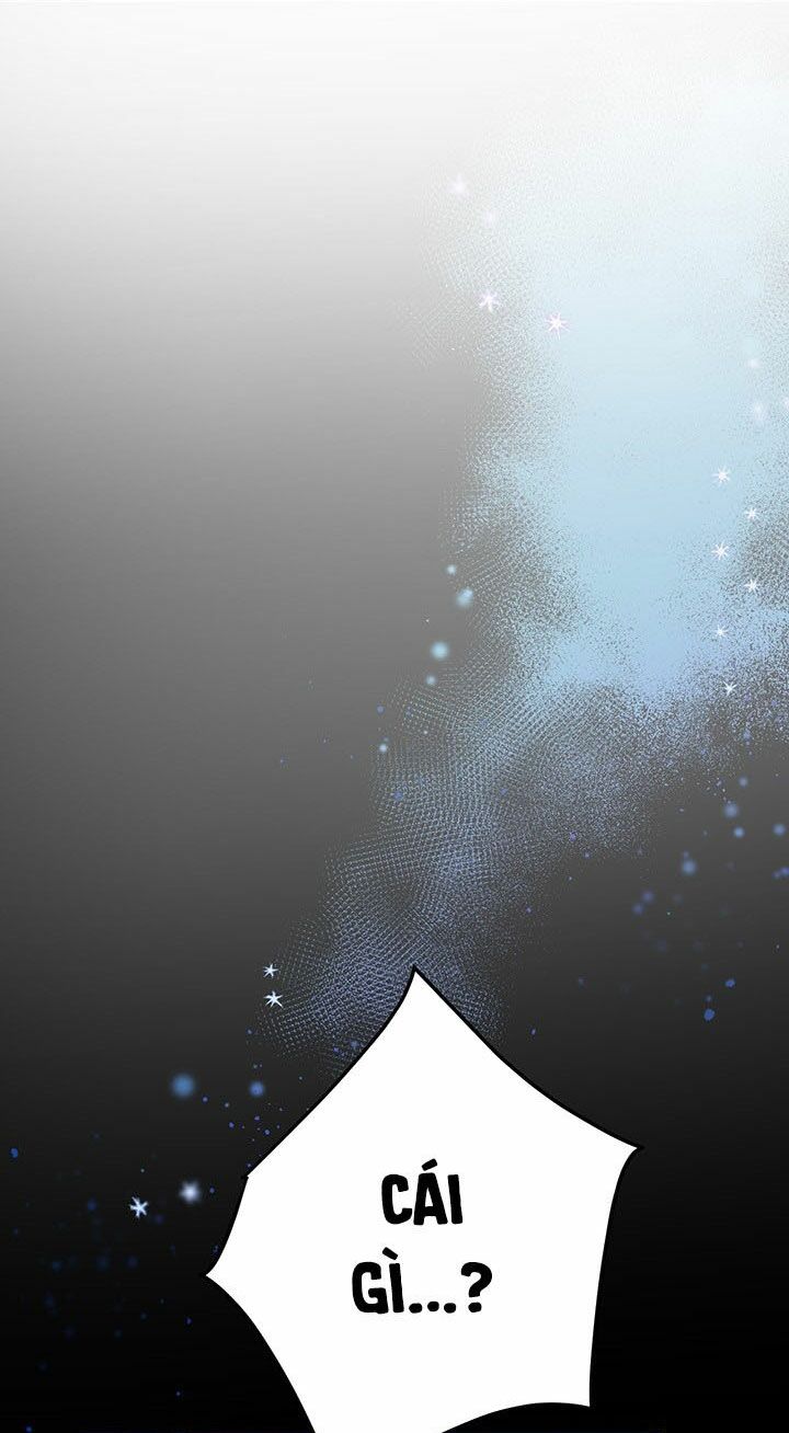 Cuộc Sống Mới Của Công Nương Chapter 3 - Trang 2