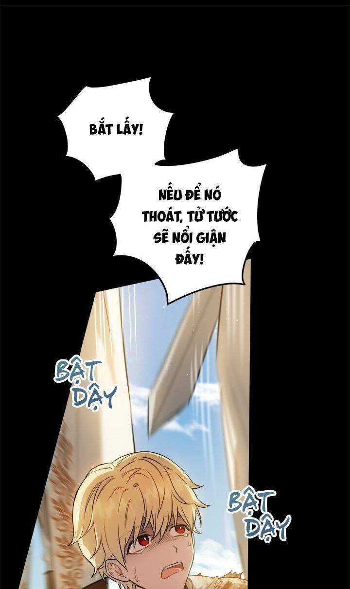 Cuộc Sống Mới Của Công Nương Chapter 36 - Trang 2