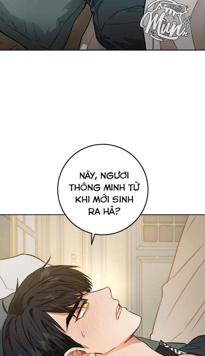 Cuộc Sống Mới Của Công Nương Chapter 41 - Trang 2