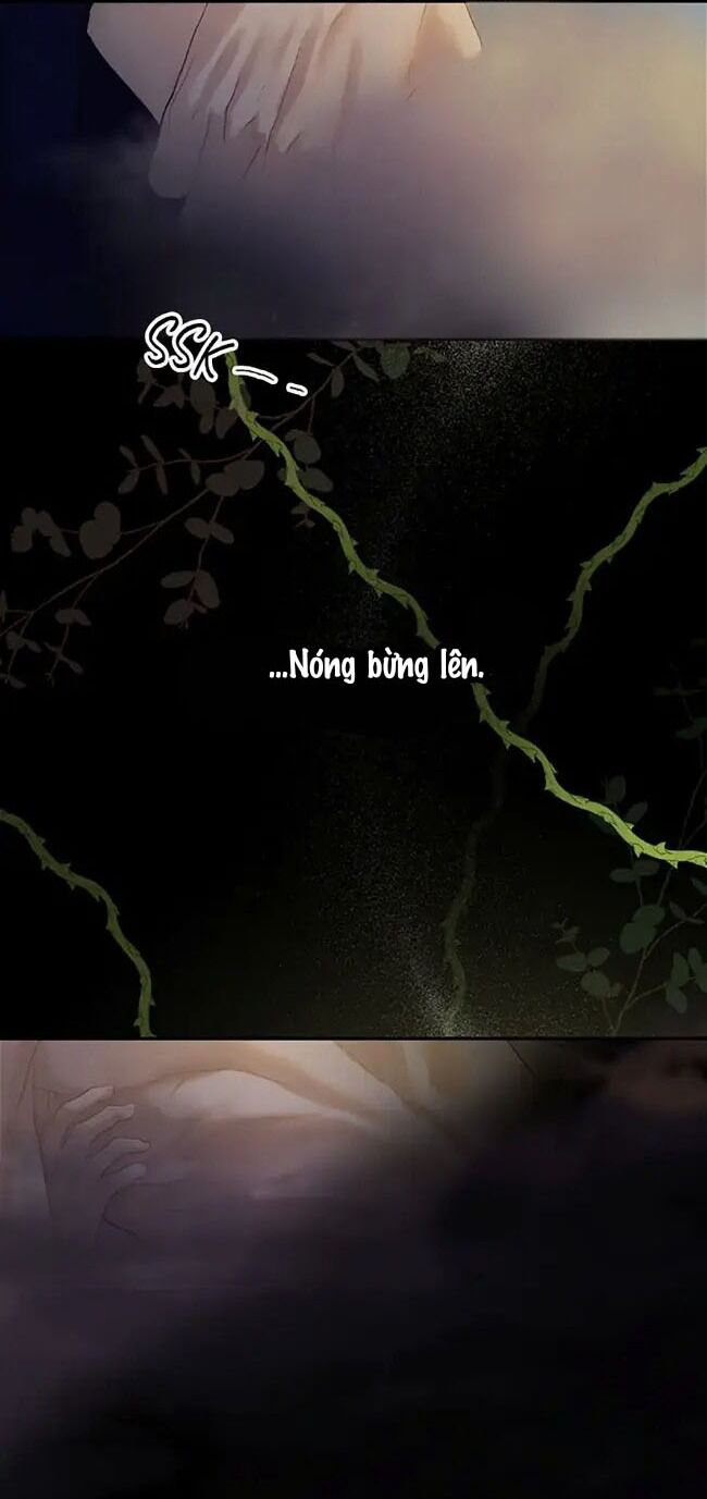 Cuộc Sống Xa Hoa Của Cô Nhân Tình Giả Chapter 1 - Trang 2