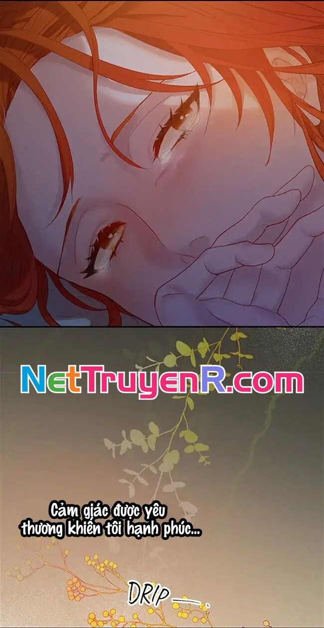 Cuộc Sống Xa Hoa Của Cô Nhân Tình Giả Chapter 1 - Trang 2