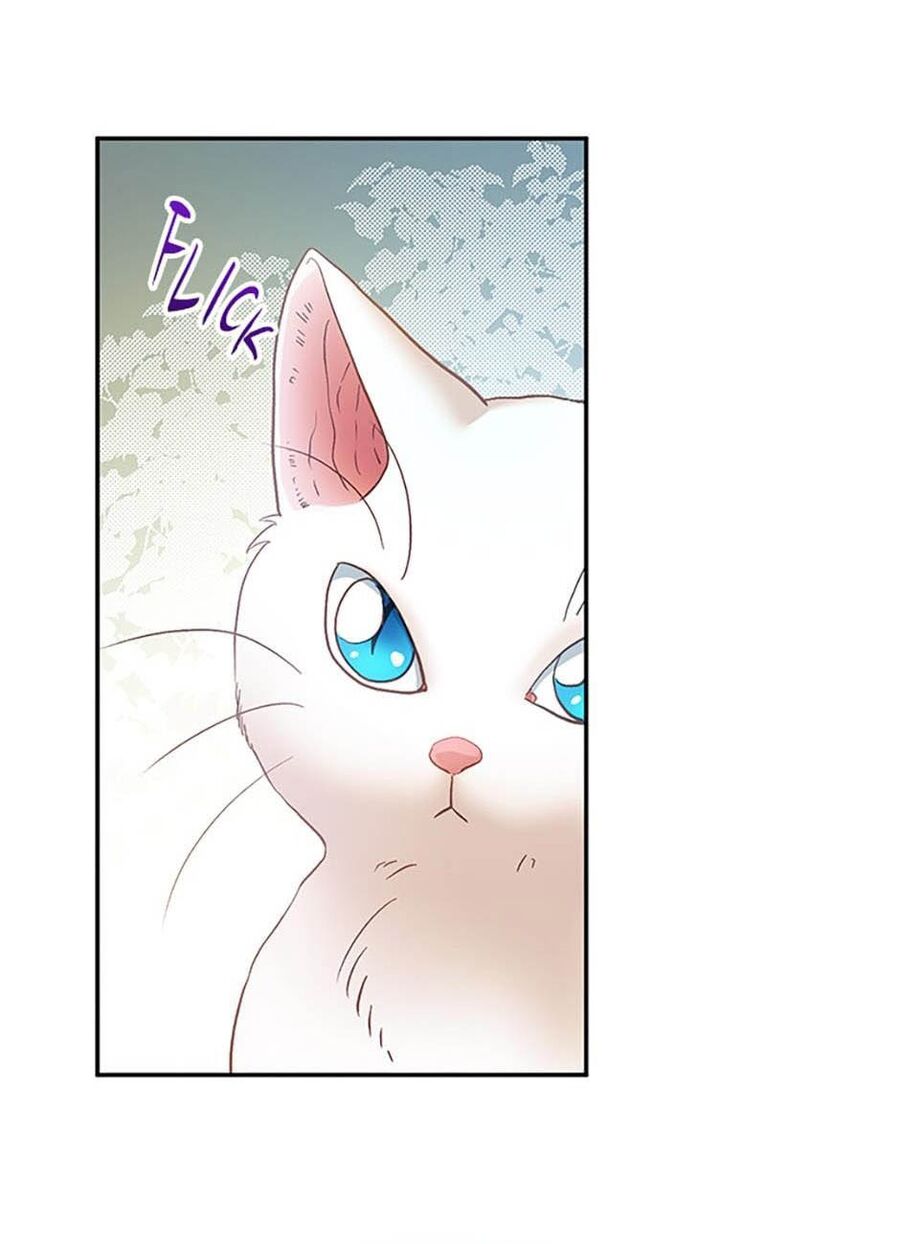 Cuộc Sống Xa Hoa Của Cô Nhân Tình Giả Chapter 23 - Trang 2