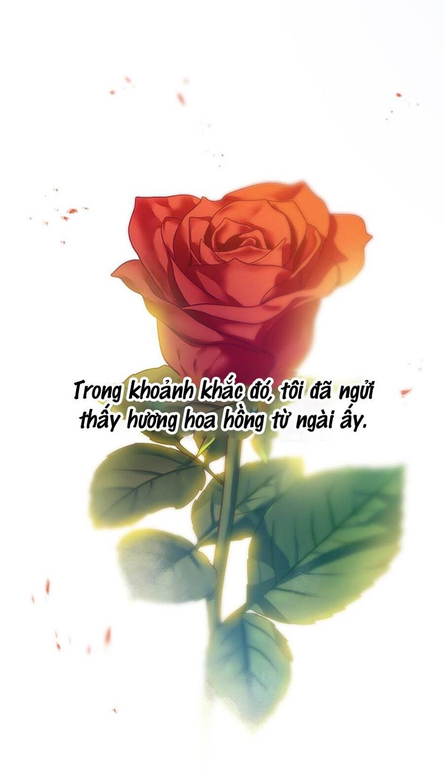 Cuộc Sống Xa Hoa Của Cô Nhân Tình Giả Chapter 23 - Trang 2