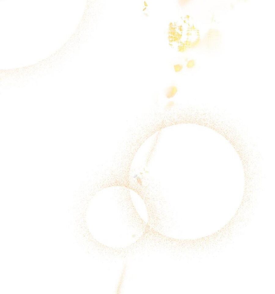 Cuộc Sống Xa Hoa Của Cô Nhân Tình Giả Chapter 23 - Trang 2