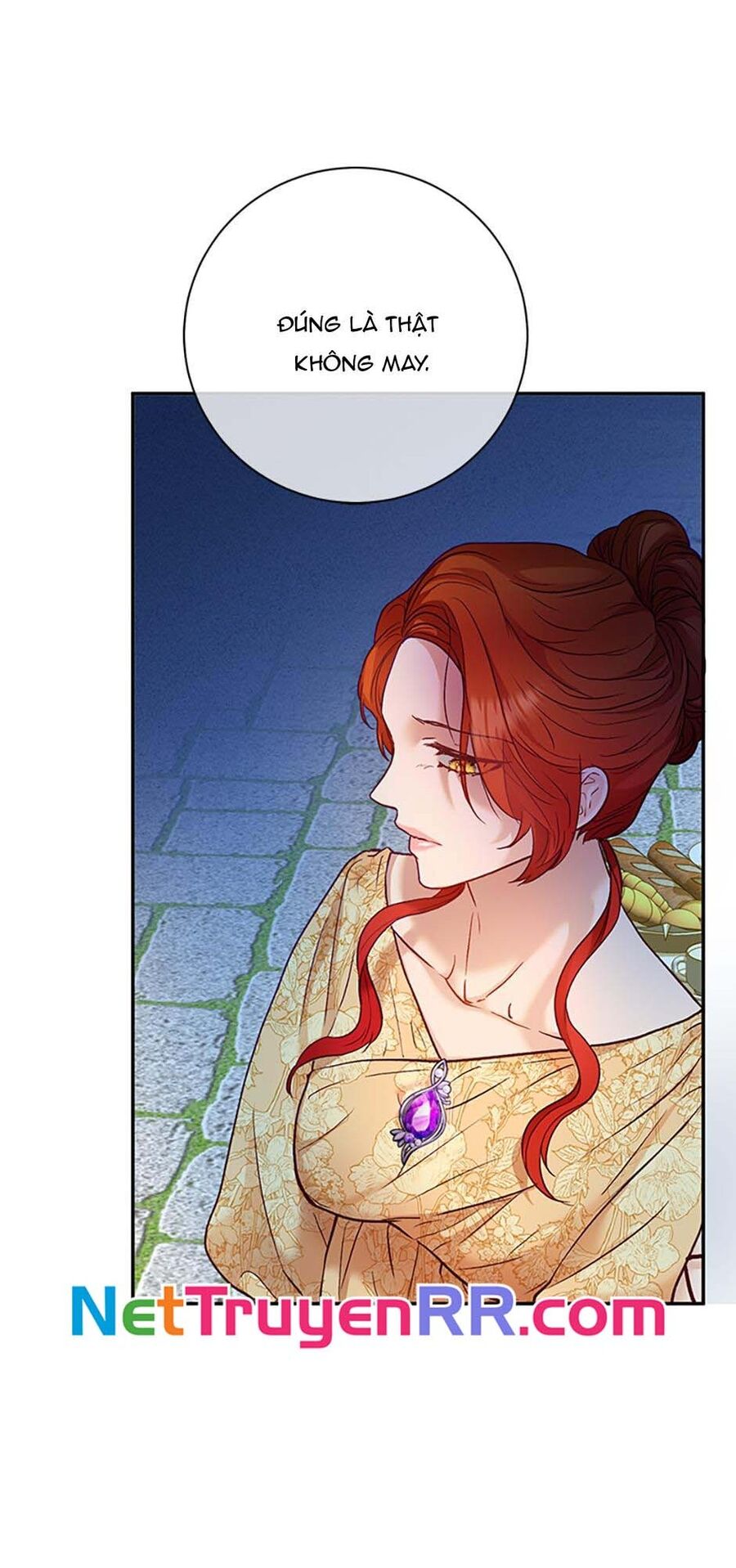 Cuộc Sống Xa Hoa Của Cô Nhân Tình Giả Chapter 24 - Trang 2