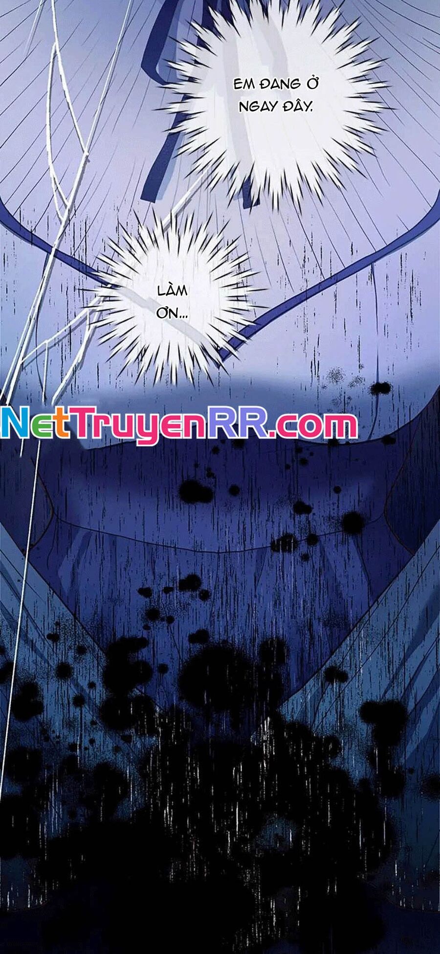 Cuộc Sống Xa Hoa Của Cô Nhân Tình Giả Chapter 30 - Trang 2