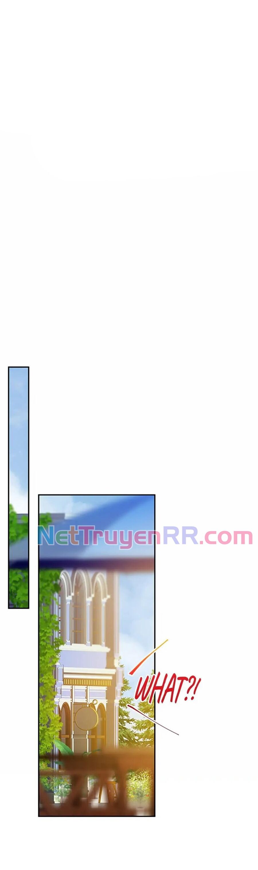 Cuộc Sống Xa Hoa Của Cô Nhân Tình Giả Chapter 33 - Trang 2