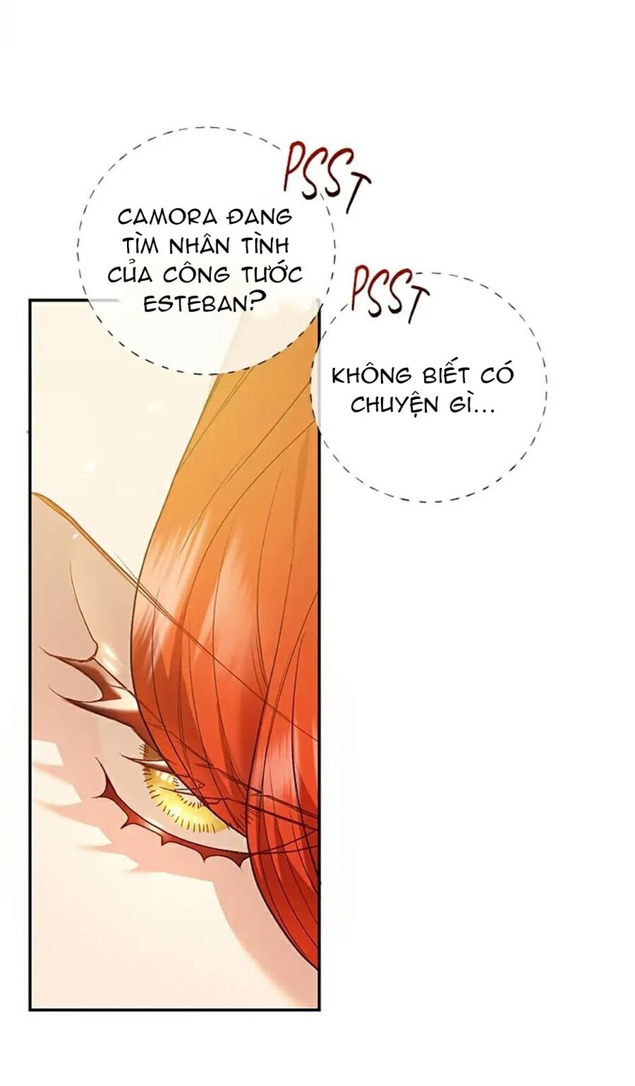 Cuộc Sống Xa Hoa Của Cô Nhân Tình Giả Chapter 33 - Trang 2