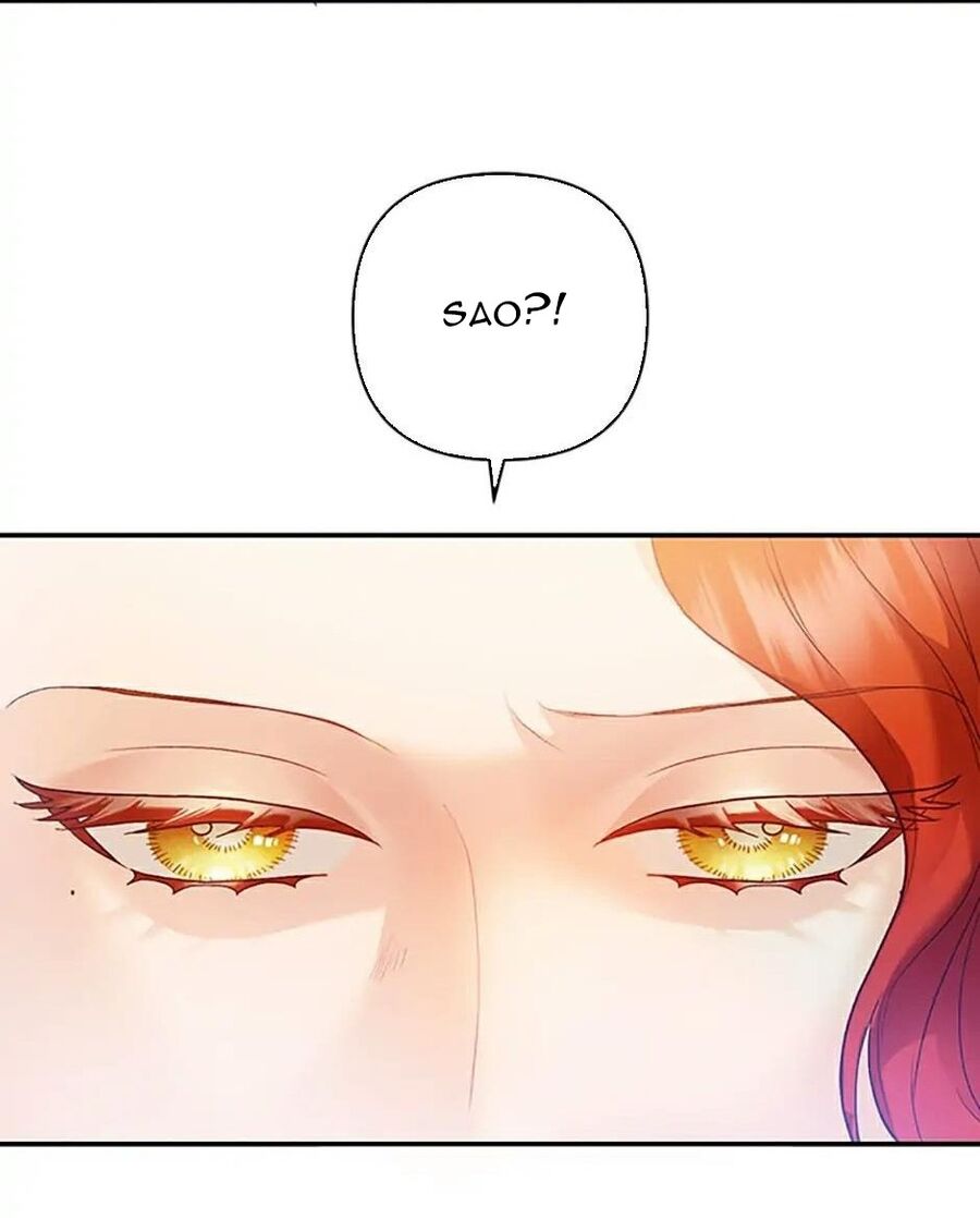 Cuộc Sống Xa Hoa Của Cô Nhân Tình Giả Chapter 33 - Trang 2