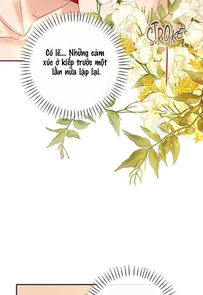 Cuộc Sống Xa Hoa Của Cô Nhân Tình Giả Chapter 76 - Trang 2