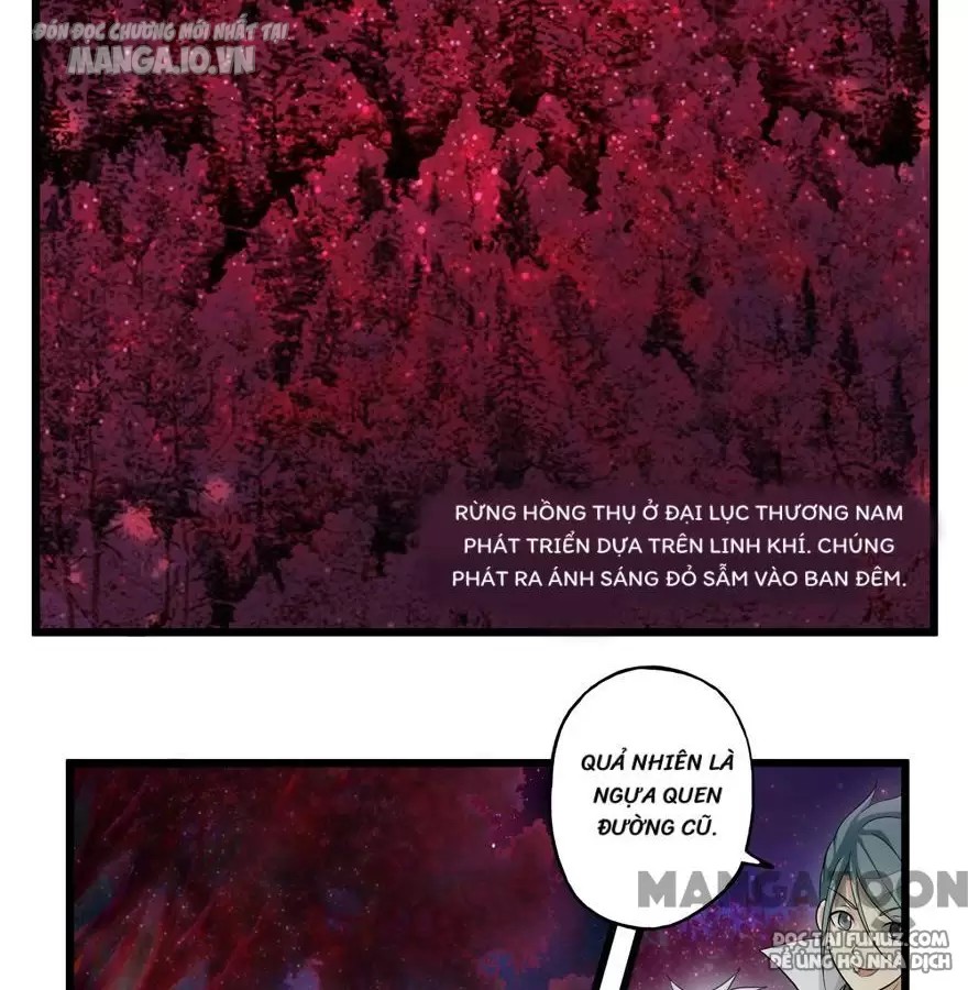 Cuồng Đồ Tu Tiên Chapter 29 - Trang 2