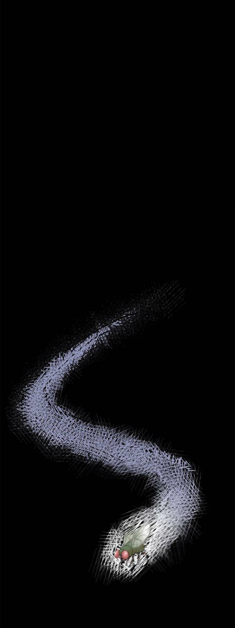 Cường Giả Đến Từ Trại Tâm Thần Chapter 203 - Trang 2