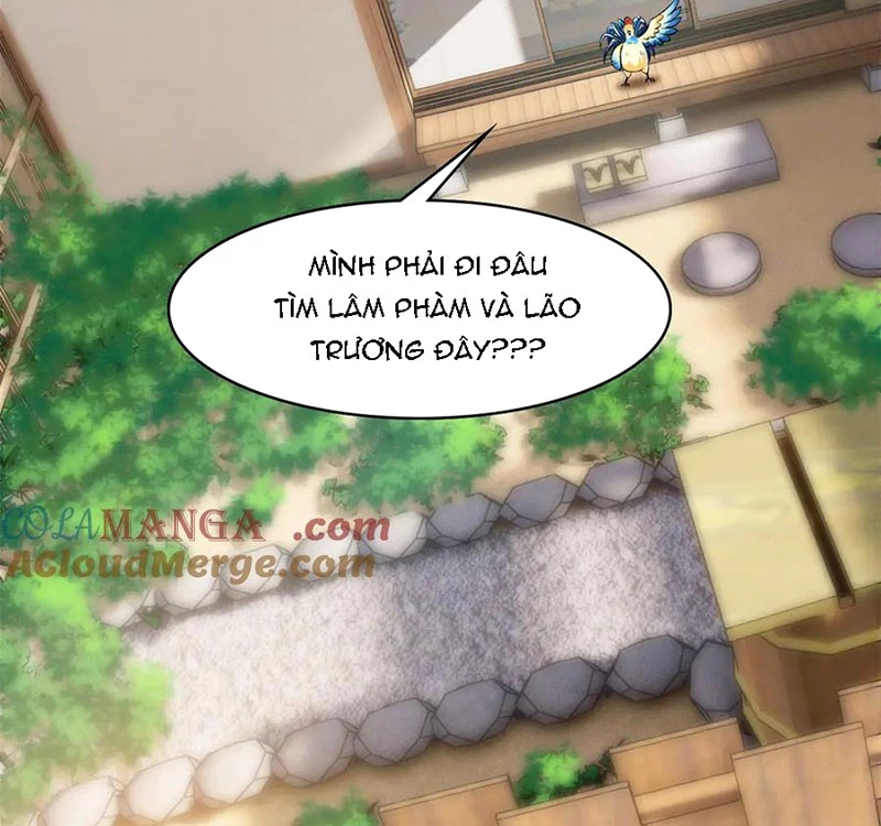 Cường Giả Đến Từ Trại Tâm Thần Chapter 276 - Trang 2