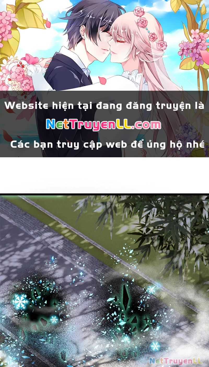 Cường Giả Đến Từ Trại Tâm Thần Chapter 277 - Trang 2