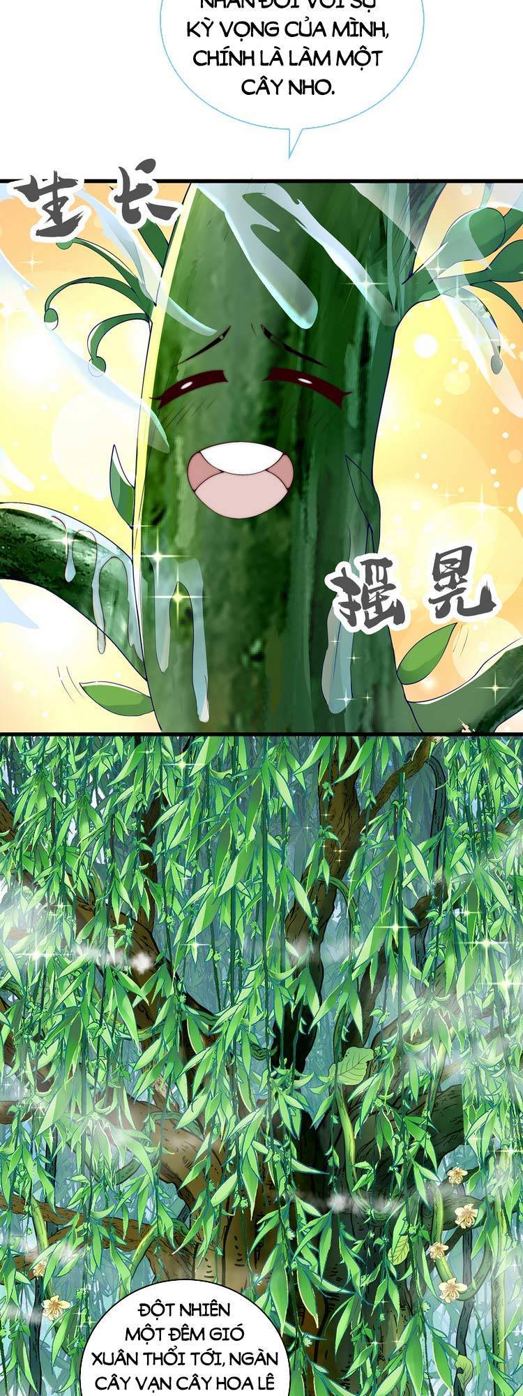 Cường Giả Tuyệt Thế Chỉ Muốn Làm Ruộng Chapter 24 - Trang 2