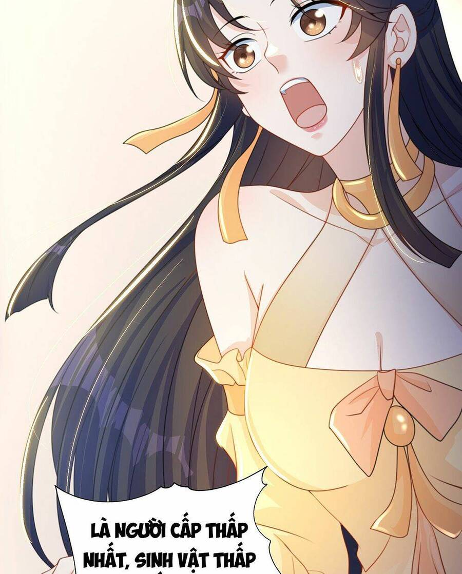 Cường Giả Tuyệt Thế Chỉ Muốn Làm Ruộng Chapter 3 - Trang 2