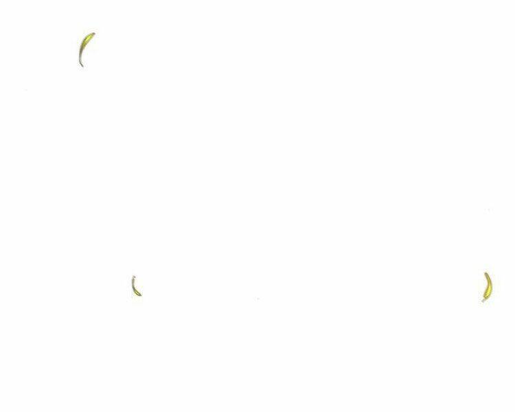 Cuồng Ma Tái Thế Chapter 27 - Trang 2