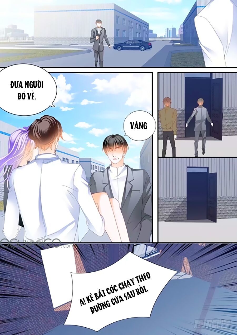 Cuồng Nhiệt Boss, Sủng Thê Xin Kiềm Chế Chapter 35 - Trang 2