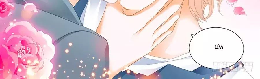 Cuồng Nhiệt Boss, Sủng Thê Xin Kiềm Chế Chapter 46 - Trang 2