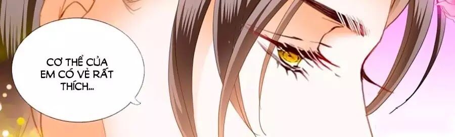 Cuồng Nhiệt Boss, Sủng Thê Xin Kiềm Chế Chapter 61 - Trang 2