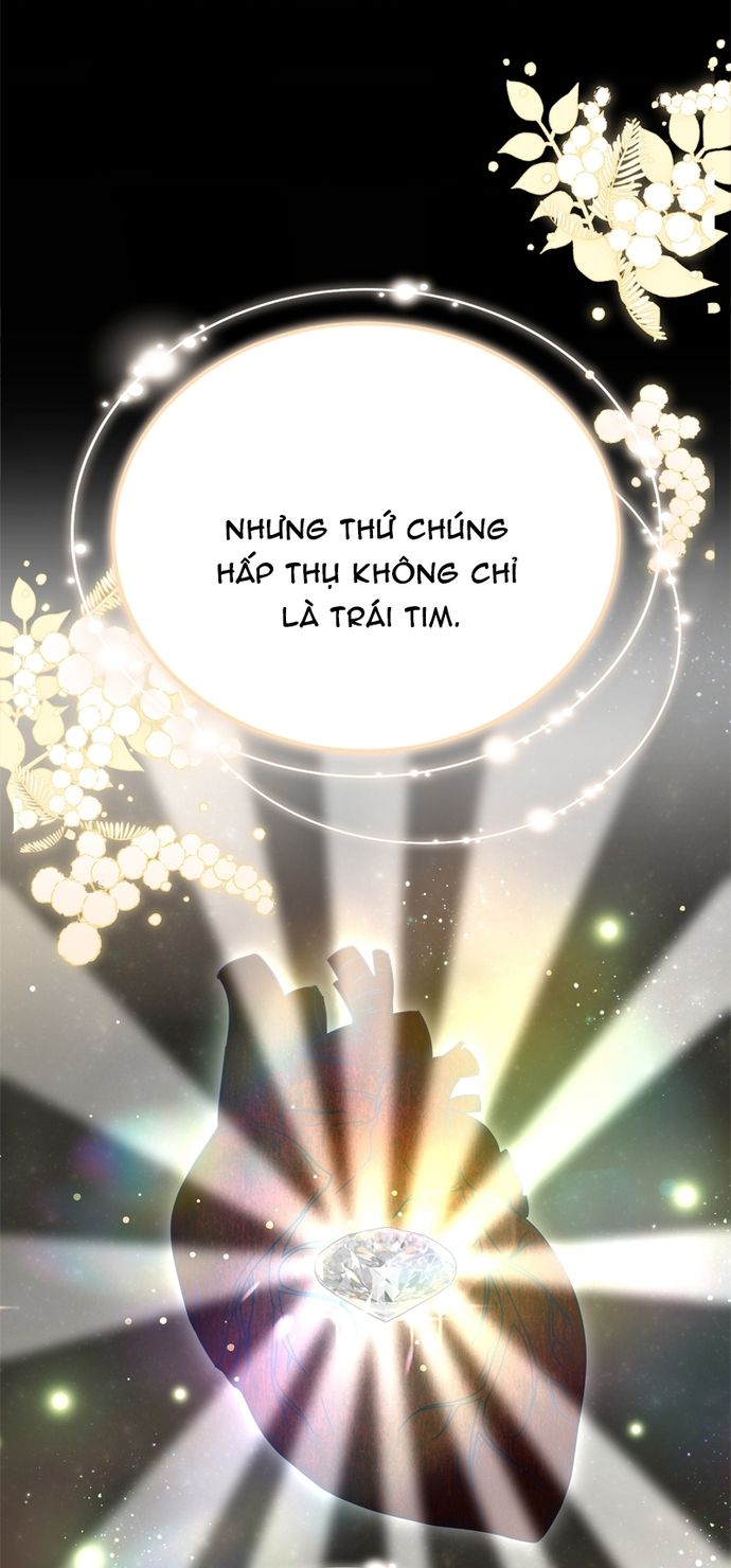 Cướp Dâu Chapter 92 - Trang 2