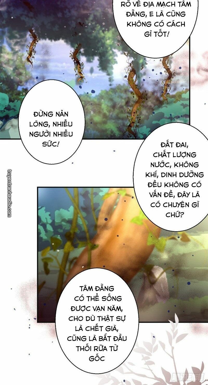 Cửu Dương Đế Tôn Chapter 175 - Trang 2