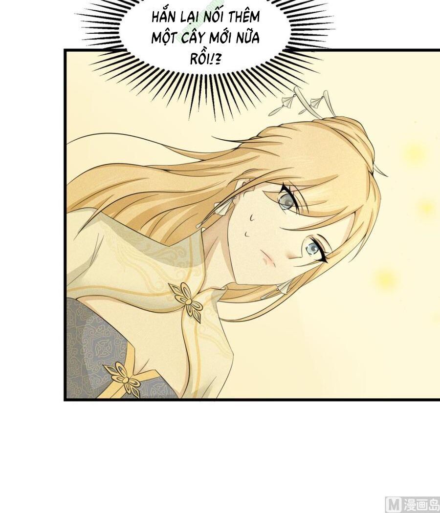 Cửu Dương Đế Tôn Chapter 31 - Trang 2