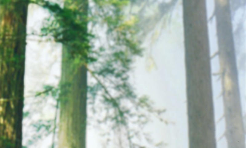 Cửu Hoang Đọa Huyền Sư Chapter 20 - Trang 2