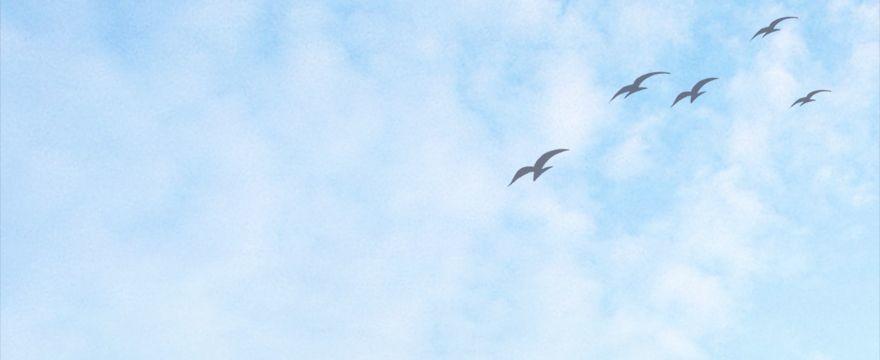 Cửu Hoang Đọa Huyền Sư Chapter 5 - Trang 2