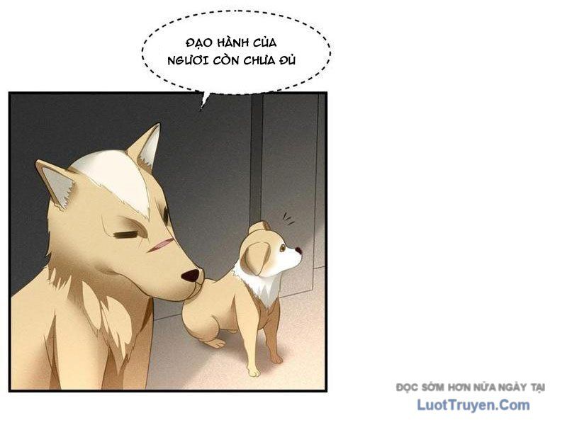 Cựu Nhật Chi Triện Chapter 14 - Trang 2