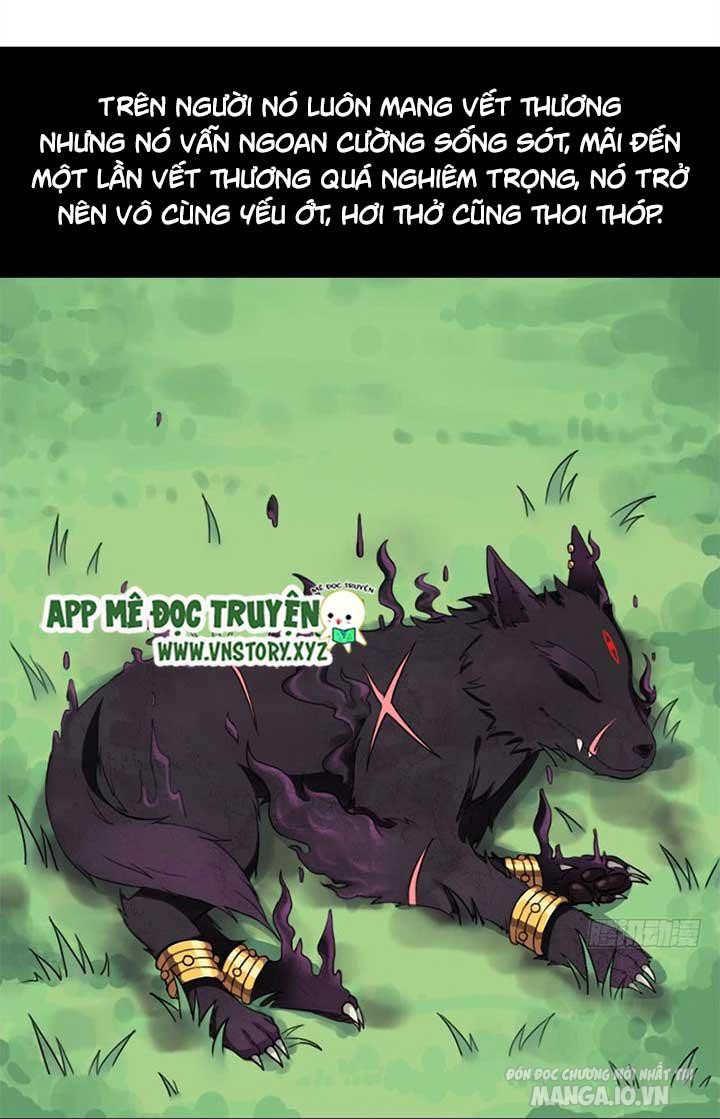 Cứu Thế Giới Đi Ông Chú Chapter 24 - Trang 2